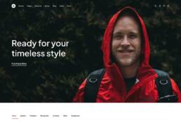 WooCommerce filters Theme